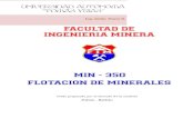 FLOTACION DE MINERALES TEXTO COMPLETO.pdf