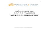 Modulos Metodo Singapur