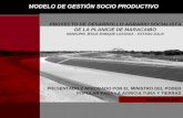 Modelo de gestión Proyecto Diluvio el Palmar, Venezuela