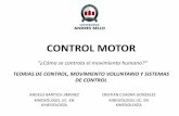 Control Motor Analisis Del Movimiento 2012