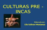 Culturas Pre -Incas