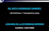 ANATOMIA DE CADERA Y FX GENERALIDADES DE FRACTURAS CADERA.pdf