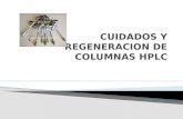 Regeneracion de Columnas Presentacion