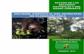 Informe Final Ambiental Anual Sobre El Estado de Los Recursos Naturales Vigencia 2012