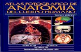 Atlas Fotográfico de Anatomía del Cuerpo Humano 3a Ed. - Yokochi, J. Rohen, E. Weinreb (Interamericana, 1991)