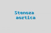 CURS Stenoza Aortica 2012