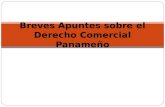 Breves Apuntes de Derecho Comercial Panameño