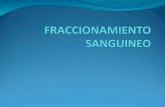 FRACCIONAMIENTO SANGUINEO equipos