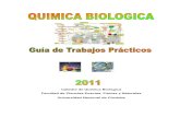 Guia Quimica Biologica-2011