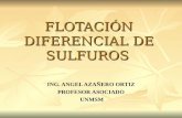 Exposicion Flotacion Diferencial de Sulfuros