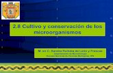 2.8-2.13 Cultivo y Conservacion de Microorganismos (1)