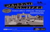 Cuaderno de Trabajo Metodo Singapur Matematicas 1