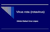 Virus Rota (Rotavirus)