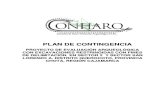 Plan de Contingencia HSE 2013-CONHARQ-RTMP