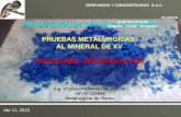 Informe Lixiviación-Cristalización Mineral de XV