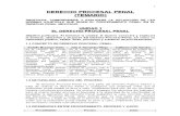 5. DERECHO PROCESAL PENAL - TEMARIO.doc