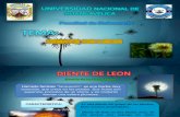 Diapositivas de .. Diente de Leon.pptx [Autoguardado]