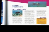Buceo Profudo (Pag.64-91)