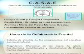 Cefalometría Frontal . Cx. Bucal y Cx. Ortognática