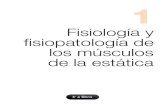 Fisiología y fisiopatología de los músculos de la estática