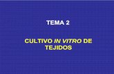 TEMA 2-Cultivo in Vitro de Tejidos Vegetales