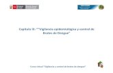 Cap IV Tema i Vigilancia Epidemiologica Del Dengue