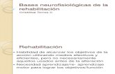 Bases neurofisiológicas de la rehabilitación