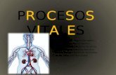 procesos vitales