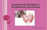 Cancer de Glandula Tiroides y Glandulas Salivales