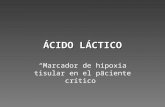 Acido Láctico