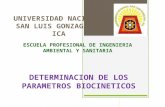 Determinacion de Los Parametros Biocineticos