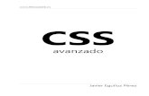 CSS AVANZADO.pdf
