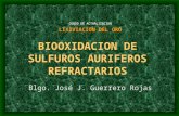 Biooxidacion de Sulfuros Auriferos Refractarios(27pag)