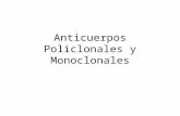 Anticuerpos Policlonales y Monoclonales