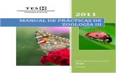 Manual de Practicas de Entomologia