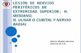 Lesión de Nervios Periféricos, mediano, ulnar y radial