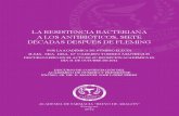 resistencia bacteriana 2