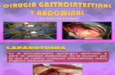 Cirugia Gastrointestinal y Abdominal
