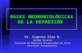 Neurobiologia de la depresión oct 2011