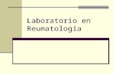 Laboratorio en Reumatología 2013