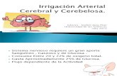 Irrigación Arterial  Cerebral y Cerebelosa2