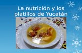 La nutrición y los platillos de Yucatán