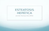 Esteatosis Hepatica