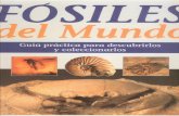 Fósiles del Mundo: Historia de la Tierra