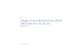 AGROINDUSTRIAS DEL RIOFRIO S.A.S.docx