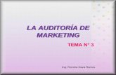 Auditoría de Marketing-TEMA Nº 3