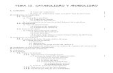Catabolismo y Anabolismo