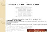 Periodontograma b