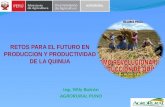 Retos Para El Futuro en Produccion y Productividad Quinua Perú