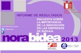 Norabidea 2013: Encuesta sobre la importancia de la innovación en las empresas de Bizkaia - Informe completo